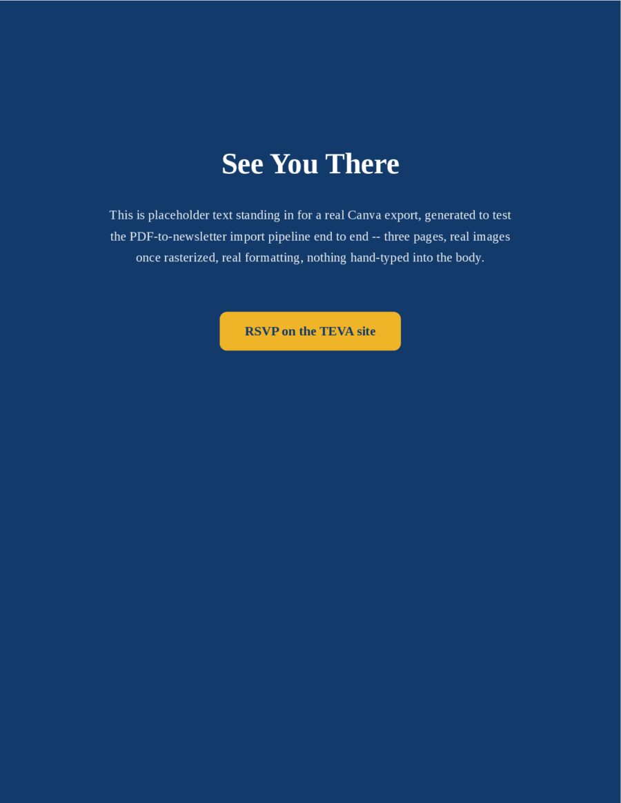 TEST – DELETE ME (Canva import check) page 3