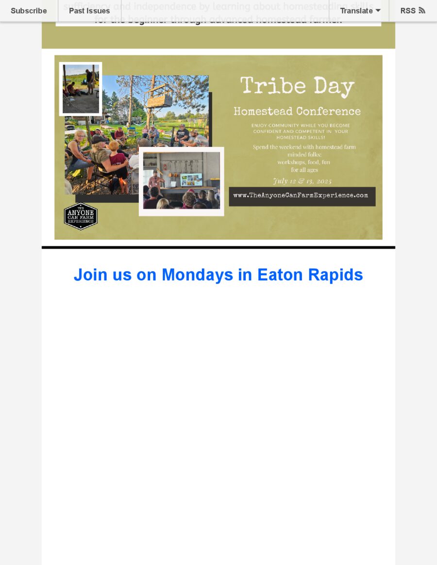 Summer Newsletter 2026 page 21