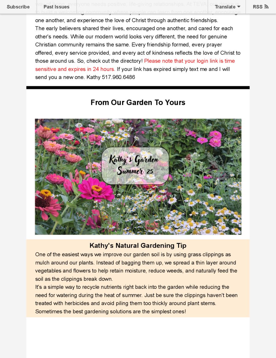 Summer Newsletter 2026 page 3