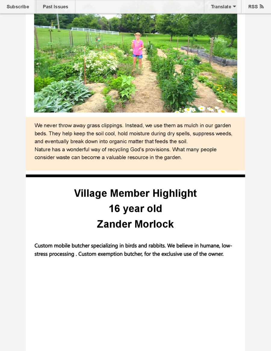 Summer Newsletter 2026 page 4
