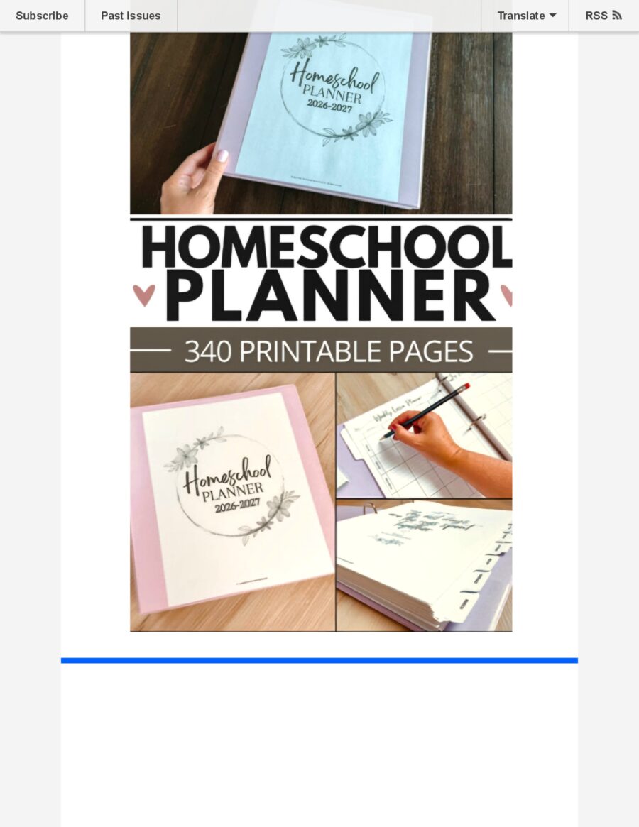 Summer Newsletter 2026 page 7