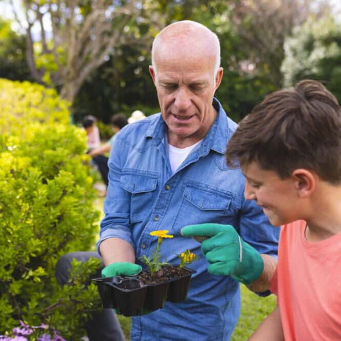 caucasian-grandfather-grandson-spending-time-together-garden-planting-family-time-spending-outside-garden-gardening-concept(1)